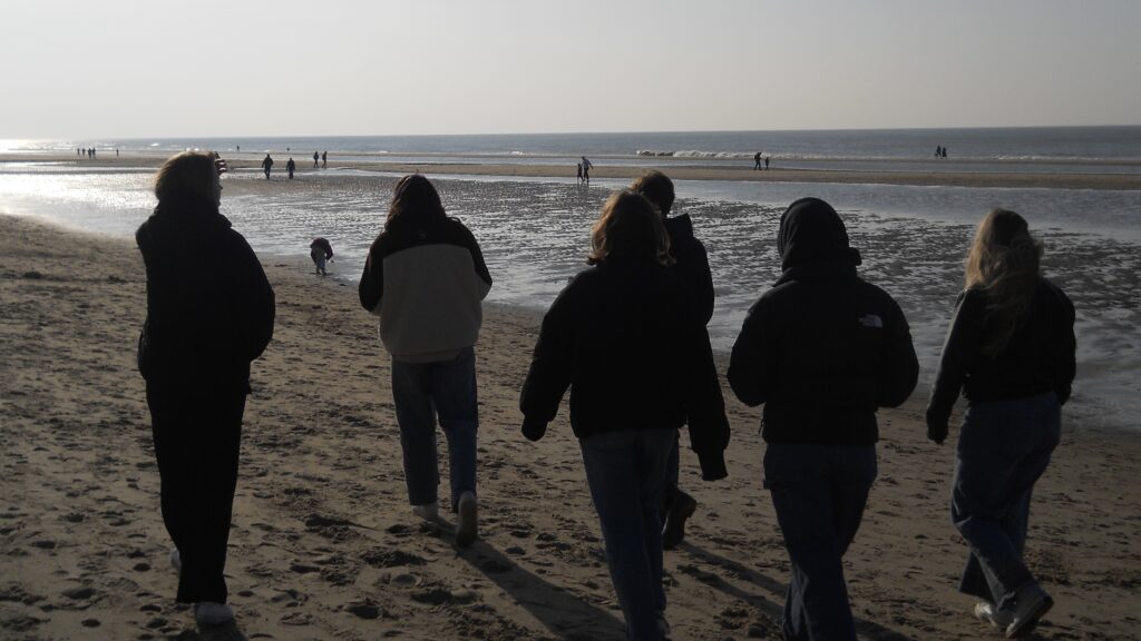 Friends walking at the beach